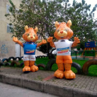 Disfraz Caminante 13